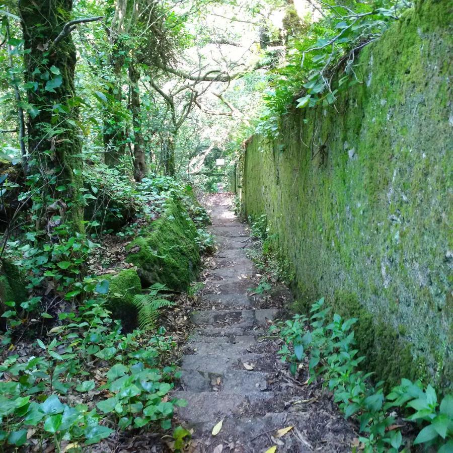 Villa Mucifal A Sintra Exteriör bild